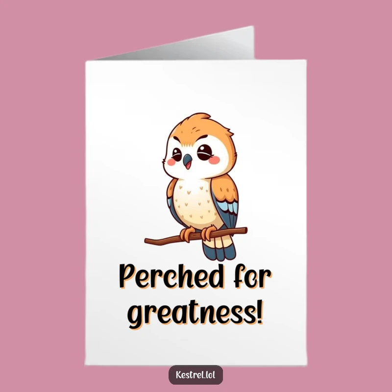 Free Printable Winking Kestrel Congrats Card - Funny Downloadable Scout Bird for Success